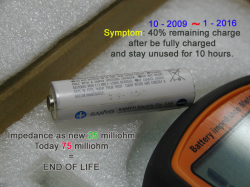 SANYO-Eneloop-2009_002.jpg