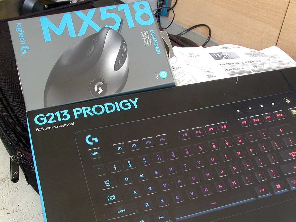 Celsius Udfyld astronomi Logitech G213 RGB Gaming Keyboard for elder boys - unboxing and tips